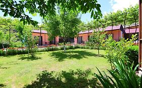 Guest House Tsiskari